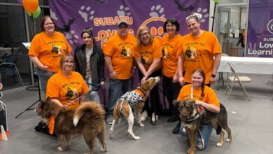 Cross Your Paws Kenny Ross Subaru November 2025